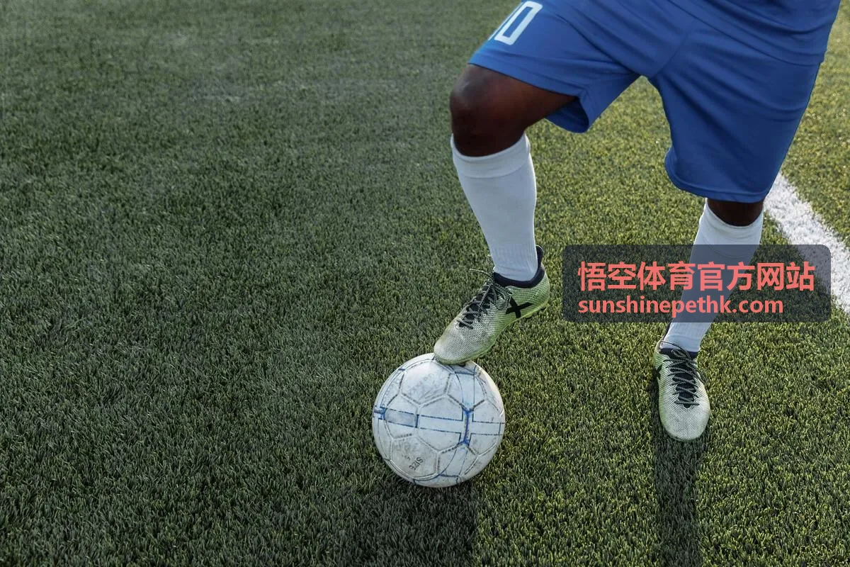 悟空体育官方网站会员权益与时段优先说明封面