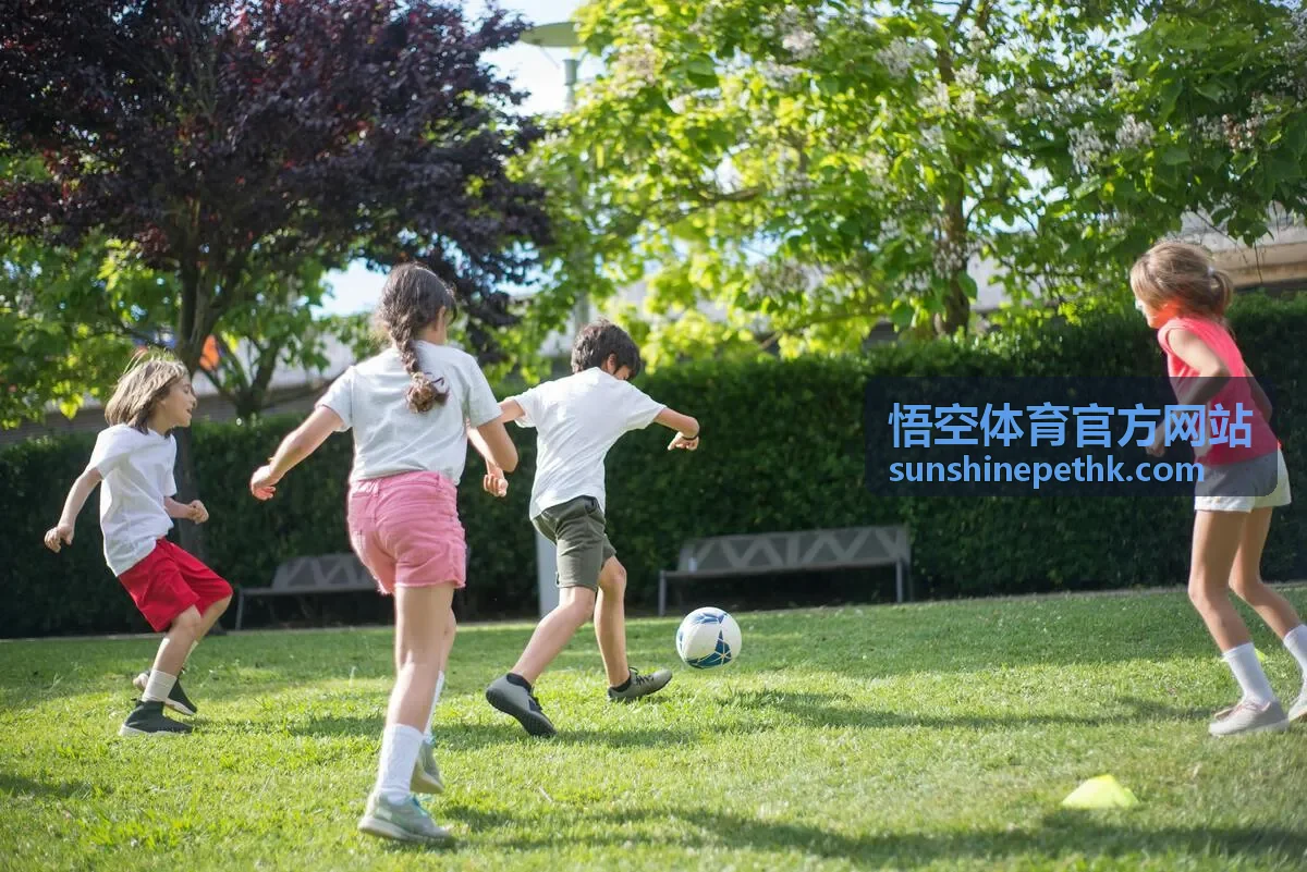 悟空体育官方网站一对一定制训练课程