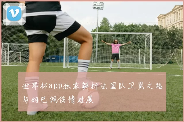 世界杯app独家解析法国队卫冕之路与姆巴佩伤情进展
