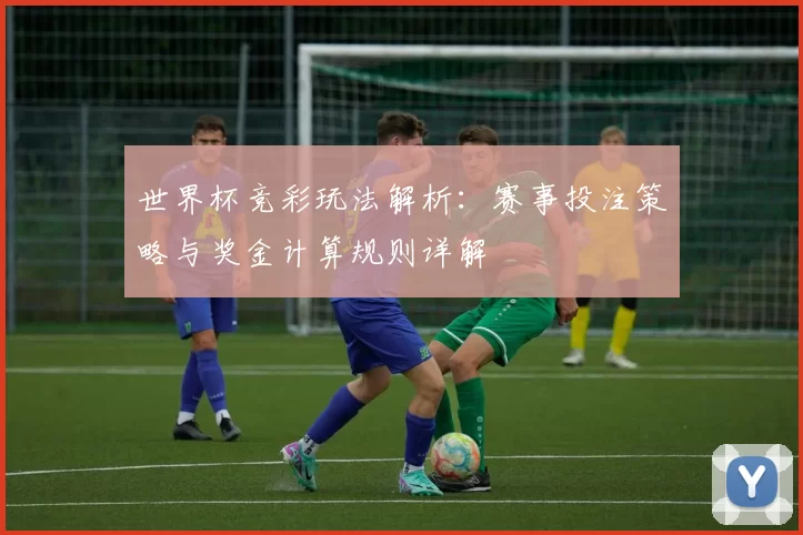 世界杯竞彩玩法解析：赛事投注策略与奖金计算规则详解