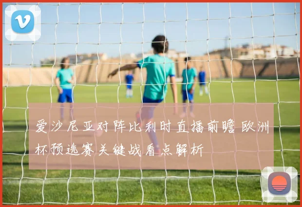爱沙尼亚对阵比利时直播前瞻 欧洲杯预选赛关键战看点解析
