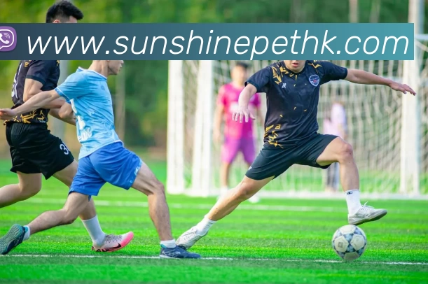 互搏体育登录入口平台生态图